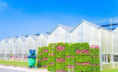 湛江将新建智慧科普农业产业园,占地1500亩,总投资18000万